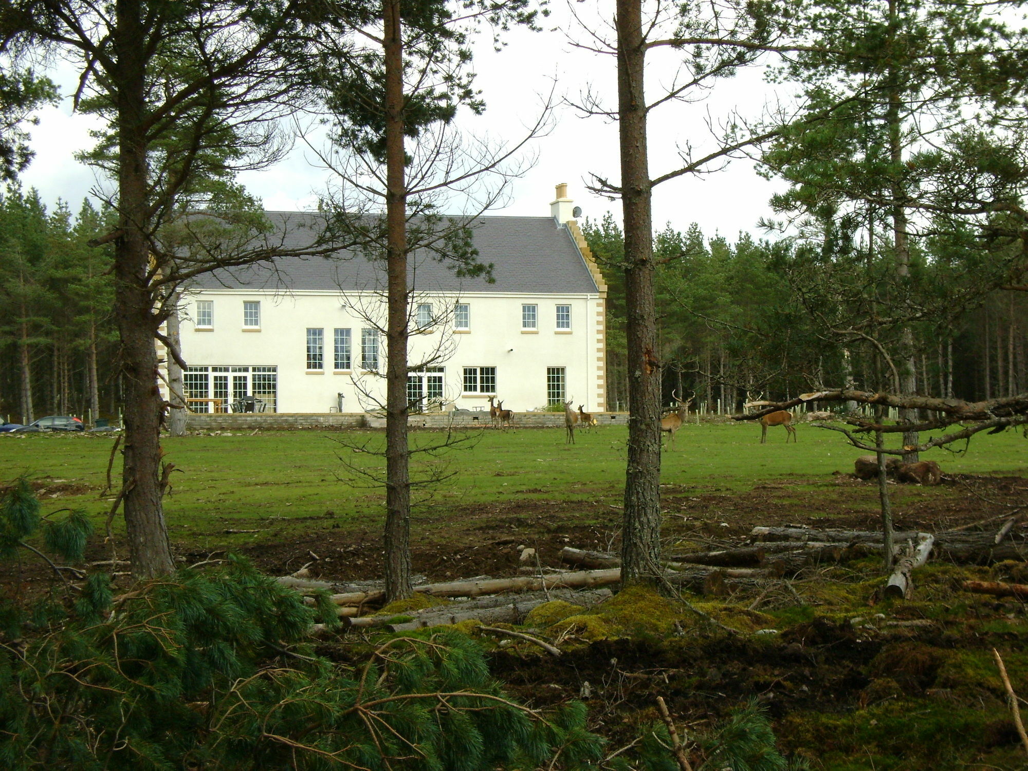 Dinichean House Bed & Breakfast Daviot  Exterior photo